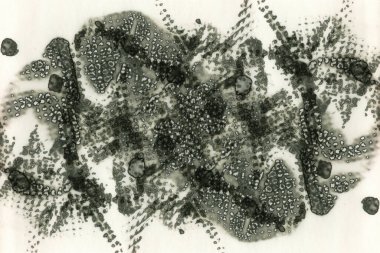 Soyut alkolik mürekkep dokusu. Lekelerden soyutlama. Duman ve kabarcıklar. Moda arkaplanı.