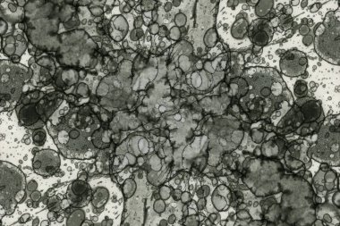 Soyut alkolik mürekkep dokusu. Lekelerden soyutlama. Duman ve kabarcıklar. Moda arkaplanı.