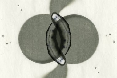 Soyut alkolik mürekkep dokusu. Lekelerden soyutlama. Duman ve kabarcıklar. Moda arkaplanı.