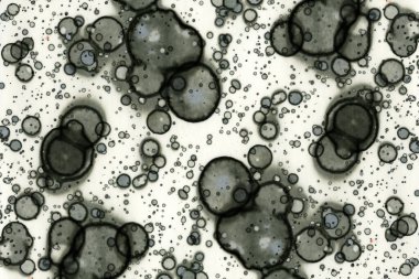 Soyut alkolik mürekkep dokusu. Lekelerden soyutlama. Duman ve kabarcıklar. Moda arkaplanı.