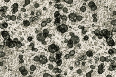 Soyut alkolik mürekkep dokusu. Lekelerden soyutlama. Duman ve kabarcıklar. Moda arkaplanı.