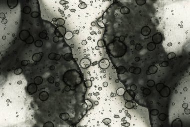 Soyut alkolik mürekkep dokusu. Lekelerden soyutlama. Duman ve kabarcıklar. Moda arkaplanı.