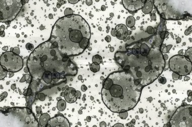 Soyut alkolik mürekkep dokusu. Lekelerden soyutlama. Duman ve kabarcıklar. Moda arkaplanı.