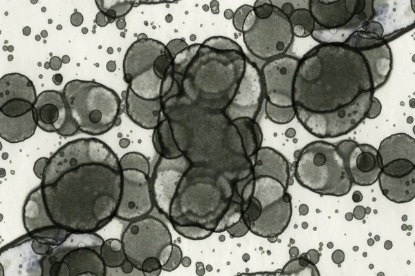 Textura Tinta Alcohólica Abstracta Abstracción Manchas Humo Burbujas Fondo Moda — Foto de Stock