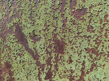 Soyut metalik paslı arka plan. Yıpranmış yeşil doku