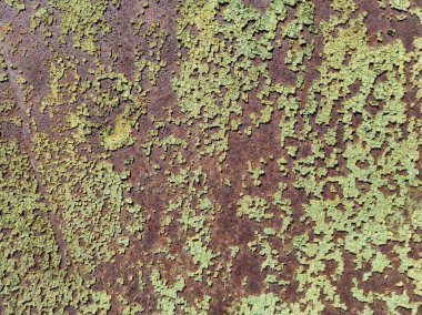 Soyut metalik paslı arka plan. Yıpranmış yeşil doku