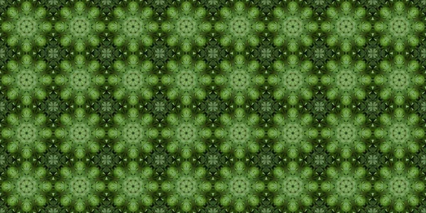 Seamless Geometric Pattern Beautiful Green Grass Texture Background — Stok fotoğraf