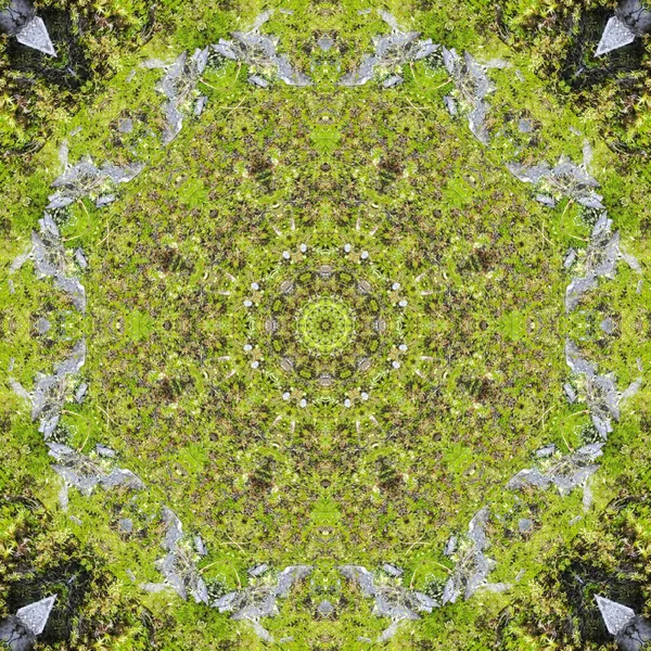 Zökkenőmentes Minták Négyzet Alakú Lineáris Geometriai Minták Kaleidoszkóp — Stock Fotó