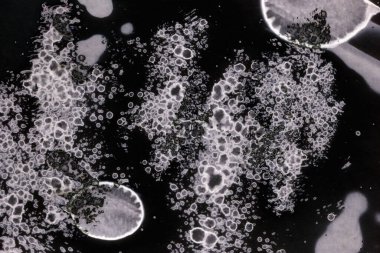 Karanlık soyut dokulu arka planlar. Lekeler ve lekeler. Alkol mürekkebi.