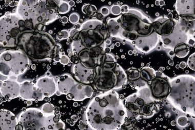 Karanlık soyut dokulu arka planlar. Lekeler ve lekeler. Alkol mürekkebi.