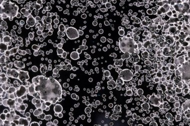 Karanlık soyut dokulu arka planlar. Lekeler ve lekeler. Alkol mürekkebi.