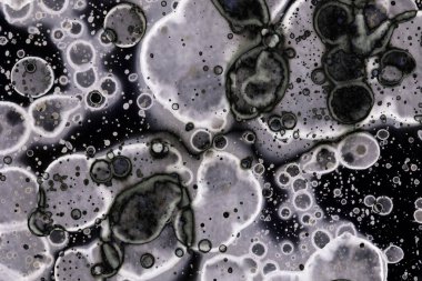 Karanlık soyut dokulu arka planlar. Lekeler ve lekeler. Alkol mürekkebi.