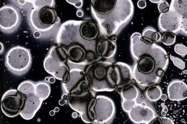 Karanlık soyut dokulu arka planlar. Lekeler ve lekeler. Alkol mürekkebi.