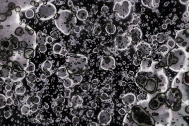 Karanlık soyut dokulu arka planlar. Lekeler ve lekeler. Alkol mürekkebi.