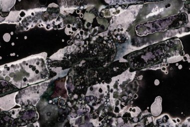 Karanlık soyut dokulu arka planlar. Lekeler ve lekeler. Alkol mürekkebi.