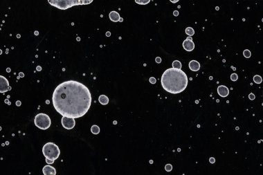 Karanlık soyut dokulu arka planlar. Lekeler ve lekeler. Alkol mürekkebi.