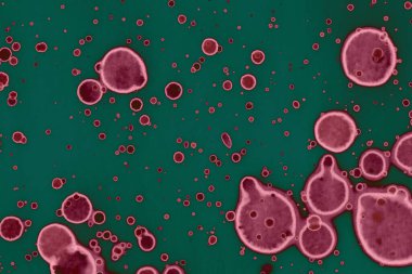 Soyut dokulu arka planlar. Lekeler ve lekeler. Alkol mürekkebi pembe ve yeşil.