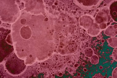 Soyut dokulu arka planlar. Lekeler ve lekeler. Alkol mürekkebi pembe ve yeşil.