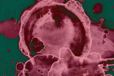 Soyut dokulu arka planlar. Lekeler ve lekeler. Alkol mürekkebi pembe ve yeşil.