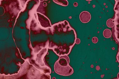 Soyut dokulu arka planlar. Lekeler ve lekeler. Alkol mürekkebi pembe ve yeşil.