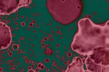 Soyut dokulu arka planlar. Lekeler ve lekeler. Alkol mürekkebi pembe ve yeşil.