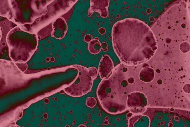 Soyut dokulu arka planlar. Lekeler ve lekeler. Alkol mürekkebi pembe ve yeşil.