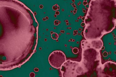 Soyut dokulu arka planlar. Lekeler ve lekeler. Alkol mürekkebi pembe ve yeşil.