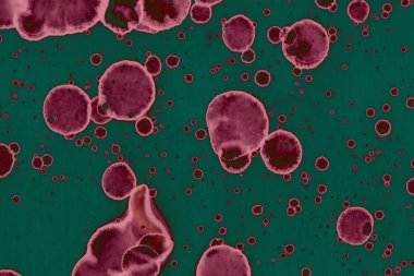 Soyut dokulu arka planlar. Lekeler ve lekeler. Alkol mürekkebi pembe ve yeşil.