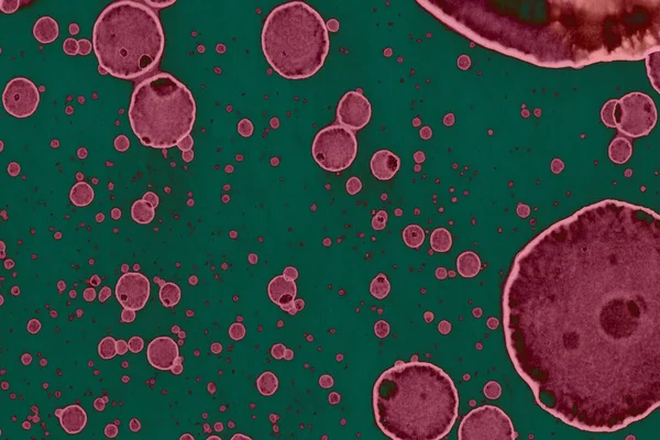 Абстрактні Текстуровані Фони Блоки Плями Алкогольне Чорнило Рожеве Зелене — стокове фото