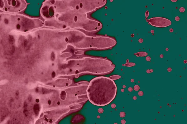 Fundos Texturizados Abstratos Manchas Manchas Tinta Álcool Rosa Verde — Fotografia de Stock