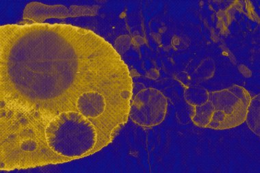 Kusursuz şebeke modeli. İskoç dokusu. Satır ve elmasların arkaplanı
