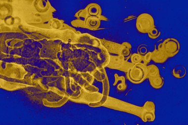 Kusursuz şebeke modeli. İskoç dokusu. Satır ve elmasların arkaplanı