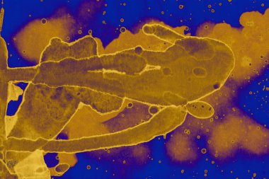 Soyut mavi sarı arka plan. Lekeler ve kabarcıklar. Alkol mürekkebi sanatı. Sembol.