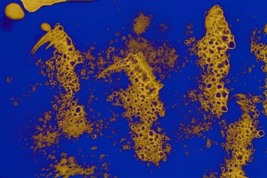 Soyut mavi sarı arka plan. Lekeler ve kabarcıklar. Alkol mürekkebi sanatı. Sembol.