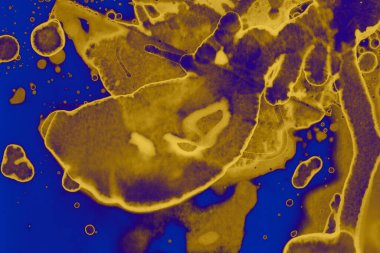 Soyut mavi sarı arka plan. Lekeler ve kabarcıklar. Alkol mürekkebi sanatı. Sembol.