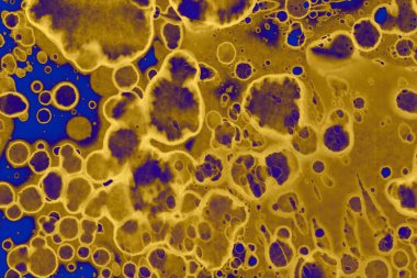 Soyut mavi sarı arka plan. Lekeler ve kabarcıklar. Alkol mürekkebi sanatı. Sembol.