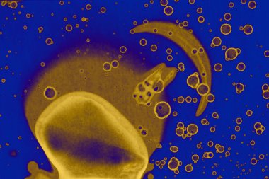 Soyut mavi sarı arka plan. Lekeler ve kabarcıklar. Alkol mürekkebi sanatı. Sembol.