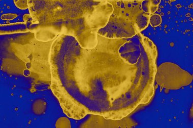 Soyut mavi sarı arka plan. Lekeler ve kabarcıklar. Alkol mürekkebi sanatı. Sembol.