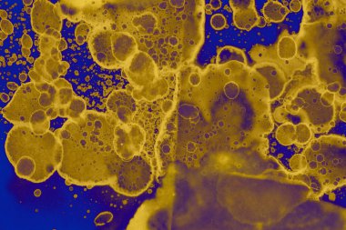 Soyut mavi sarı arka plan. Lekeler ve kabarcıklar. Alkol mürekkebi sanatı. Sembol.