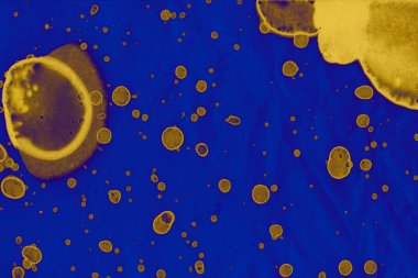 Soyut mavi sarı arka plan. Lekeler ve kabarcıklar. Alkol mürekkebi sanatı. Sembol.