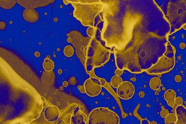 Soyut mavi sarı arka plan. Lekeler ve kabarcıklar. Alkol mürekkebi sanatı. Sembol.