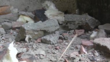 Bir delgiyle duvarı sökmek. Onarım ve bitirme. Bir kaya matkabı deliği açar. Yüksek kaliteli FullHD görüntüler