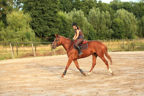 Cavalo e cavaleiro — Fotografia de Stock