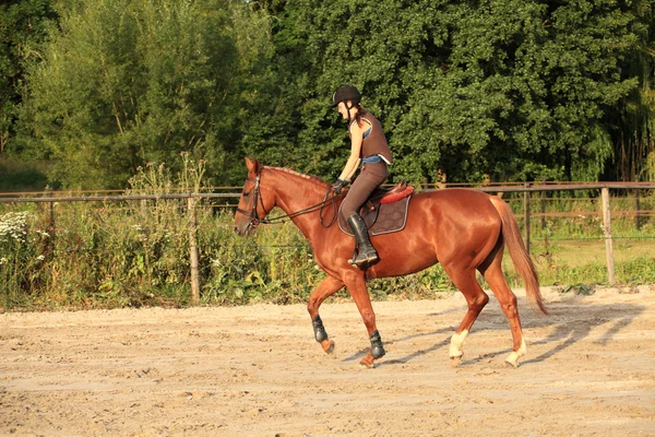 Koně a jezdce — Stock fotografie