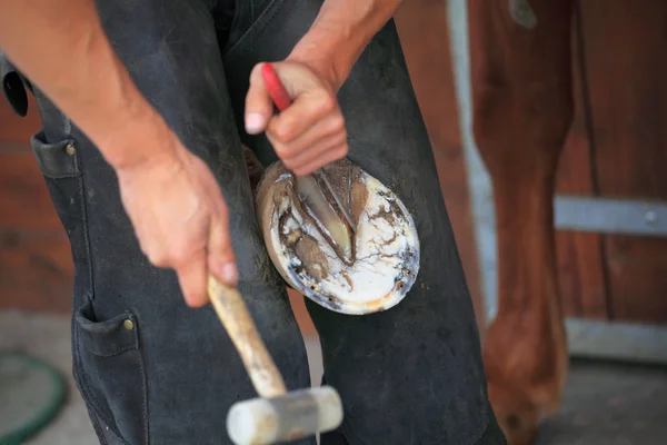 Preparare uno zoccolo di cavallo — Foto Stock