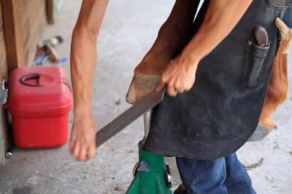 Preparare uno zoccolo di cavallo — Foto Stock