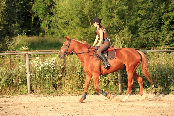 Caballo y jinete — Foto de Stock