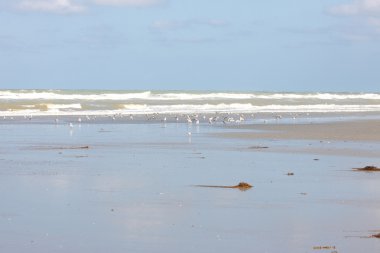 plaj ve deniz yaz crotoy içinde Fransa