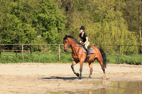 Красивая конница на коричневой лошади летом — стоковое фото