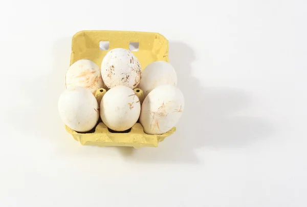 白い背景の上の生物の農場のガチョウの卵 — ストック写真